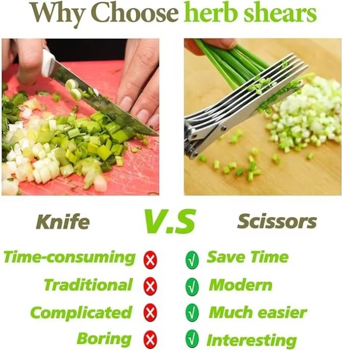 5 Blades Stainless Steel Kitchen Scissors for Herbs and Vegetables
